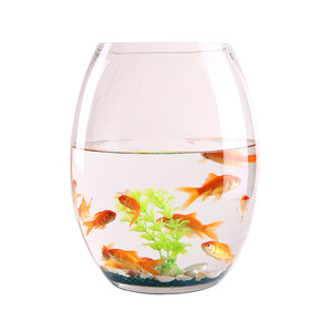 Groothandel Taille Trommel-Vormige Glazen Goudvis <span class=keywords><strong>Tank</strong></span> Woonkamer Grote Schildpad <span class=keywords><strong>Tank</strong></span> Mini Klein Landschap Hydrocultuur Bloempot - Product Image 6
