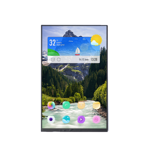 Firmly Packed 10.1 inch 800x1280 IPS TFT DSI Display LCD Panel For Tablet