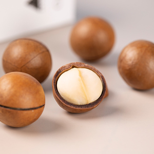 Australische geïmporteerde hele rauwe gedroogde macadamianoten 10KG grote maat OEM & export gecertificeerd - Product Image 4