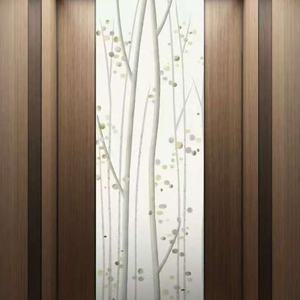 Ascensor Residencial para Viviendas con Puerta Automática, Sensor de Seguridad, Acero Inoxidable y Aluminio, Capacidad de 400 kg - Product Image 5