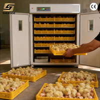 Incubateur d'œufs pour l'éclosion des œufs de poulet, machine d'écloserie avicole, équipement d'incubation pour l'élevage de poulets en petite ferme
