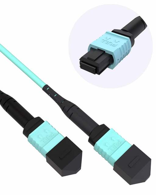 Factory Cost OM3 Multimode 0.25m Fiber Optic Patch Cord 8/12/16/24/48core MPO MPO Trunk Cable for WiFi 4G 3G GSM GPRS FTTH
