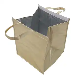 Personalizado Portátil Isolado Cooler Tote Bag Alumínio Film Carry Ice Pack para Alimentos e Bolo Thermal PP Material