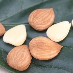 Qingchun Factory Suministra Directamente Almendras Crudas Nutritivas de Grado A, Secas, en Bolsas de 10 kg - Product Image 5