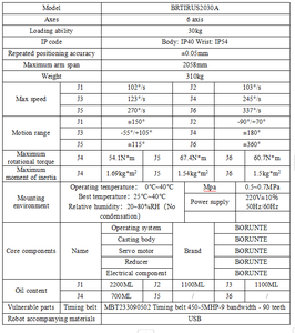 BORUNTE BRTIRUS2030A หุ่นยนต์อุตสาหกรรม 6 แกน รับน้ำหนักได้ 30 กก. ระยะเอื้อม - Product Image 5