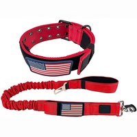 Collier de chien à double broche en nylon épais avec collier rembourré pour laisses.