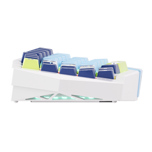 Clavier personnalisable AKKO Year of Snake Armor - Rod of Asclepius Alice Layout pour un confort ergonomique, démontage rapide, fixation à ressort - Product Image 5