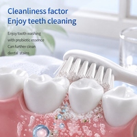 Poudre blanchissante probiotique pour les dents, éliminateur de taches et de jaunissement, rafraîchisseur d'haleine, poudre de soin buccal pour un nettoyage en profondeur