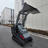 Konut İnşaatları için EPA Euro5 Sertifikalı Çok Fonksiyonlu Mini Skid Steer Yükleyici