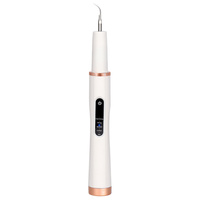Herramienta Portátil para Eliminar la Placa Dental, Eliminador de Placa Recargable para Dientes, Raspador de Dientes, Eliminador de Sarro, Herramientas Dentales