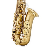 SAX Alto Drop E Saxophone Instrument Brass Brushed Blue Lacquer Beginner Playing Style Y-AS-860