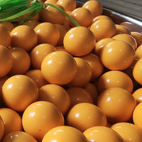 Balle en plastique POM solide de 17,27 mm (cal. 68) couleur personnalisée, en polyoxyméthylène, en stock, offre spéciale