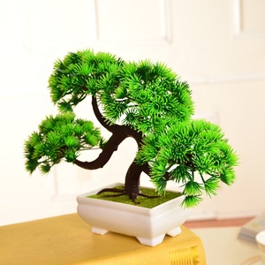 E-3049 Descuento por tiempo limitado Planta bonsái en maceta de plástico Bonsái de pino para decoración del hogar - Product Image 2