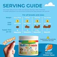 Vitamin Kunyah untuk Anjing, Menambah Vitamin, Mendukung Kesehatan Kulit dan Bulu, serta Meningkatkan Sistem Imun