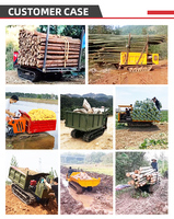 Mini Dumper Cingolato Compatto Cinese 500kg 800kg 1 Tonnellata Diesel 4x4 Telecomandato Multiuso per Silvicoltura e Giardinaggio