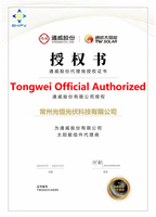 Efisiensi Tinggi Tongwei tw-solar 635W 640W 645W 650W 655W Panel surya n-tipe 132 sel Bifacial kaca modul PV