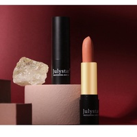 Vente en gros de rouge à lèvres imperméable, anti-adhésif, longue tenue, maquillage de Noël, rouge à lèvres mat