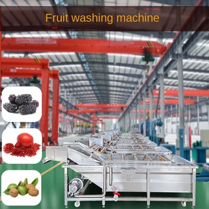 HONGTENG gelso linea <span class=keywords><strong>di</strong></span> asciugatura semi <span class=keywords><strong>di</strong></span> <span class=keywords><strong>melograno</strong></span> grano <span class=keywords><strong>di</strong></span> frutta macchina per la pulizia automatica bolle <span class=keywords><strong>di</strong></span> noce frutta fresca - Product Image 6