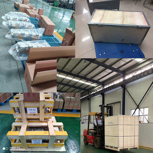 <span class=keywords><strong>TCM</strong></span> FD250-3 FD300-3 291Y7-17001 <span class=keywords><strong>25T</strong></span> 叉车泵总成 - Product Image 5