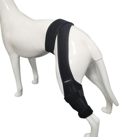 Bande de protection pour pattes de chien en néoprène, attelle de soutien ajustable pour le genou, pour chiens de petite, moyenne et grande taille