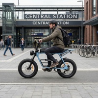 Vélo électrique compact rétro à pneus larges avec phare LED, connecteur de station, idéal pour les trajets en ville et les cyclistes nomades