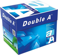 Papier à copie double format A4 80 g/m² 500 feuilles 1 ramette pour le bureau
