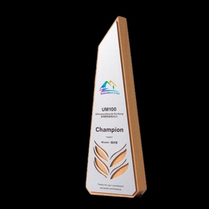 Las mejores ventas Smart Spending on Awards 2024 Los mejores premios de madera y acrílico por un reconocimiento sobresaliente - Product Image 2