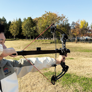 Piaoyu عالية الطاقة 20-60lb مجمع القوس في الهواء الطلق الصيد الصلب الكرة القوس مجمع الكبار اكسسوارات الصيد القوس - Product Image 6