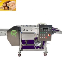 Machine à pulvériser et à enrober le chocolat en acier inoxydable SUS304 pour noix, dattes et fruits