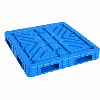 Palette en plastique robuste à double face, moulée par soufflage, 4 voies, pour stockage industriel à froid, empilable par chariot élévateur, résistante à l'humidité, 1000 kg