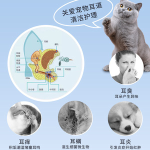 Hisopos de Algodón Kaiyan para Limpieza de Oídos de Mascotas, para Ácaros y Limpieza de Oídos (Especial para Perros y Gatos) - Product Image 4
