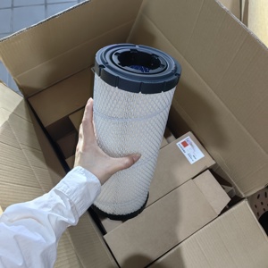 Nuevo Filtro de Aire para Camión AF25436 E1504L MD-7560 A20394 C142006 - Product Image 4