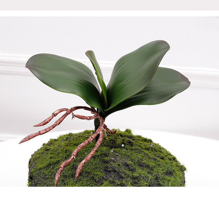 เอส 16.5ซม