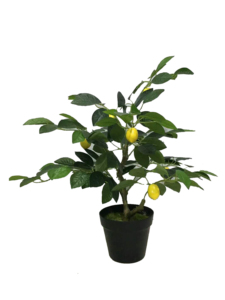Vendite calde 120cm <span class=keywords><strong>interno</strong></span>/esterno albero di limone artificiale <span class=keywords><strong>Bonsai</strong></span> nuovo Design di simulazione di plastica vero tocco caldo per la decorazione della casa - Product Image 2