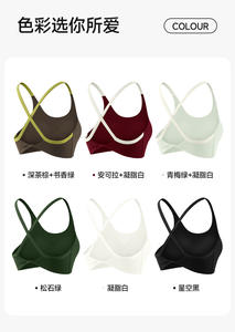 เสื้อชั้นในกีฬาแบบไขว้หลังเรียบง่าย ขายส่ง พร้อมโลโก้ด้านหน้า ป้องกันการกระแทก เหมาะสำหรับโยคะ ออกกำลังกาย ฟิตเนส สำหรับผู้หญิง เสื้อครอปท็อป - Product Image 2