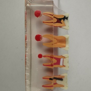 Modelo Dental M4018 para Tratamiento de Pulpa Dental, Herramienta Educativa de Entrenamiento para Uso Doméstico - Product Image 3