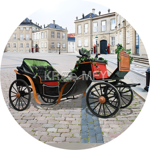 Pony Horse Carriage Hot Selling Classic Sightseeing Carriage Electric Horse Carriage 4 Wheel Marathon Horse Wagon - Product Image 2