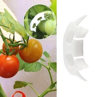 Clips de plástico para Injerto de tomate para invernadero, nuevos clips redondos de soporte para armadura de plantas, Clips de tomate de arco biodegradables