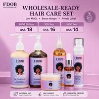 Lot de 6 produits capillaires Chebe en gros pour marque privée : Shampoing, après-shampoing, huile capillaire et sérum stimulant la croissance pour cheveux afro bouclés naturels