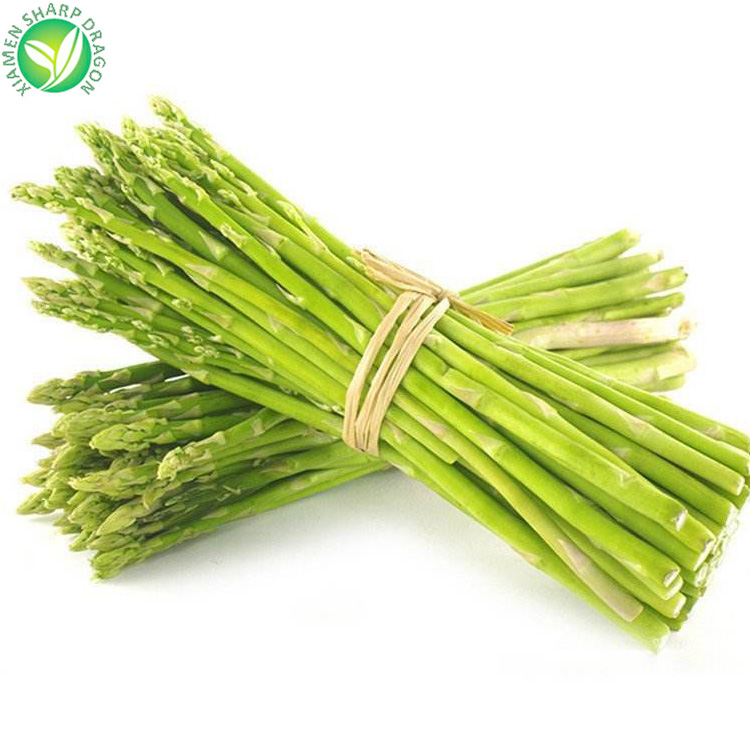 IQF Frozen Asparagus Export Supplier Nature a Grade Seeds China Price Bulk Vegetable Green EDIBLE SD Asparagus in India 10 Kg