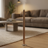 Diffuseur d'arômes LED à deux fluides, alimenté par batterie, type C, contrôlé par application, grande capacité 100 ml, en alliage d'aluminium, silencieux 30 dB