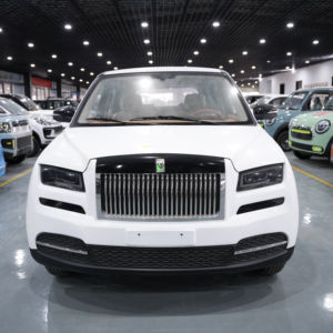 Оптовая цена. Новинка! Четырехколесные электромобили 3500 Вт из Китая. Высокая проходимость для повседневного использования пожилыми людьми. - Product Image 2