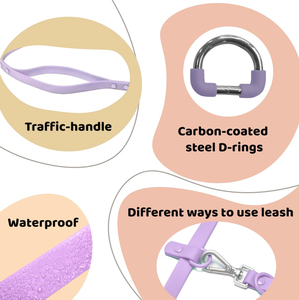 Accessoires pour animaux de compagnie, colliers pour animaux de compagnie personnalisés, colliers et laisses imperméables en PVC, ensemble collier et laisse pour chien - Product Image 3