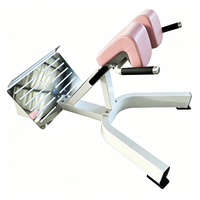 Chaise romaine commerciale en métal, station d'hyperextension, banc de sécurité robuste, appareil de musculation pour le bas du dos, les fessiers et les ischio-jambiers