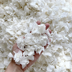 ดอกไฮเดรนเยียที่เก็บรักษาไว้38สีแห้งยาวนานสำหรับการจัดเรียงทำมือเค้กวันเกิดทำจากเรซิ่น - Product Image 1