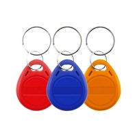 Mini-étiquettes RFID NFC ABS 125KHZ TK4100, carte de proximité intelligente, porte-clés pour système de contrôle d'accès aux portes d'hôtel, paiement, présence