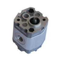 LF Pression 200 Bar Vitesse 2000R Min Pompe hydraulique à engrenages à haut débit avec 0.5 HP et connexion de 1/4 pouces pour presse