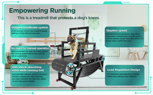 Tapis roulant d'agilité pour chien W2-2 en acier écologique pour intérieur/extérieur, vente en <span class=keywords><strong>gros</strong></span> - Product Image 5