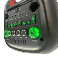Système audio portable avec deux haut-parleurs de 8 pouces, Hifi, LED RGB, micro sans fil, multi-connexion, 60W, pour fêtes en plein air