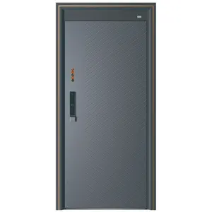 USELUCK金色供应商高品质钢门不锈钢门设计现代灰色